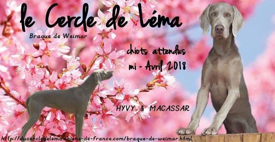 Du Cercle De Léma - Des bébés pour avril...