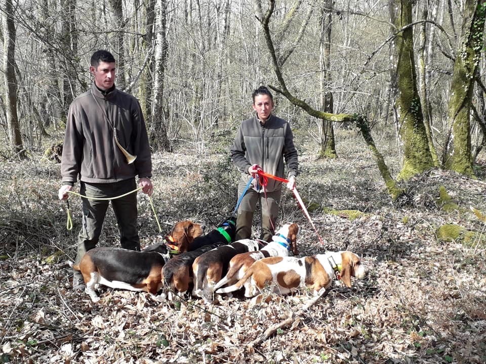 Du Cercle De Léma - Brevet de chasse sur Chevreuil le 24/03/19 Champsanglard 23