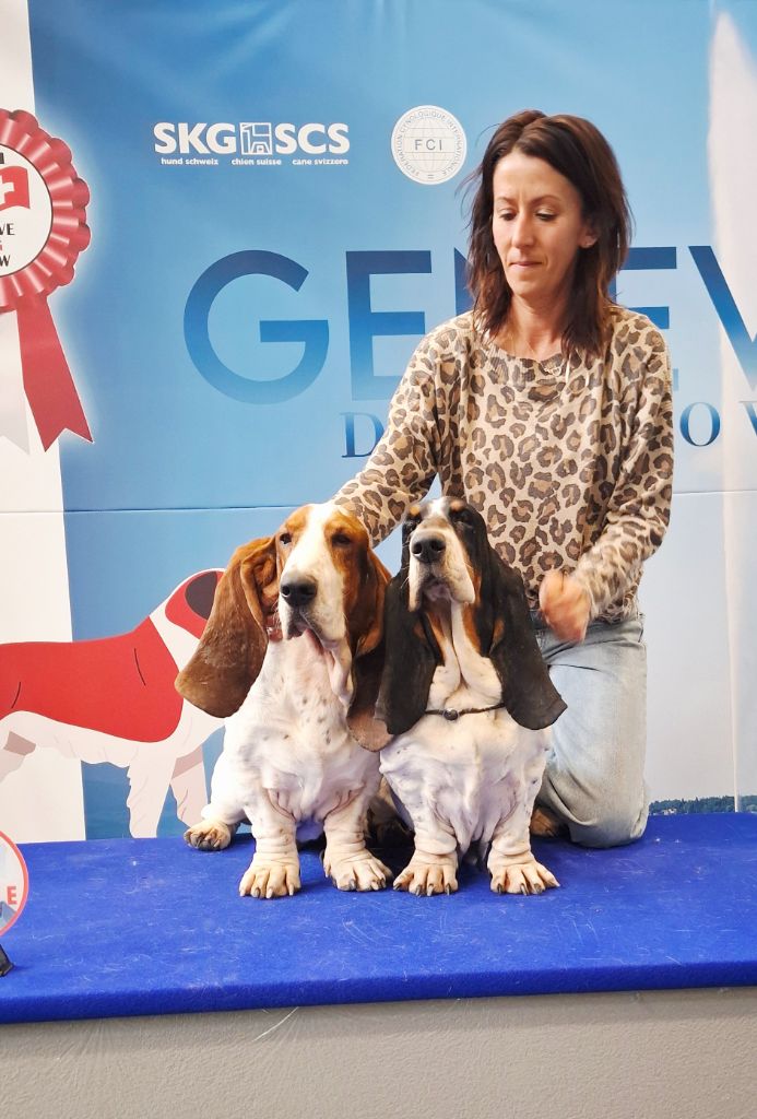 DOG SHOW GENÈVE 3-4-5 OCTOBRE 2025