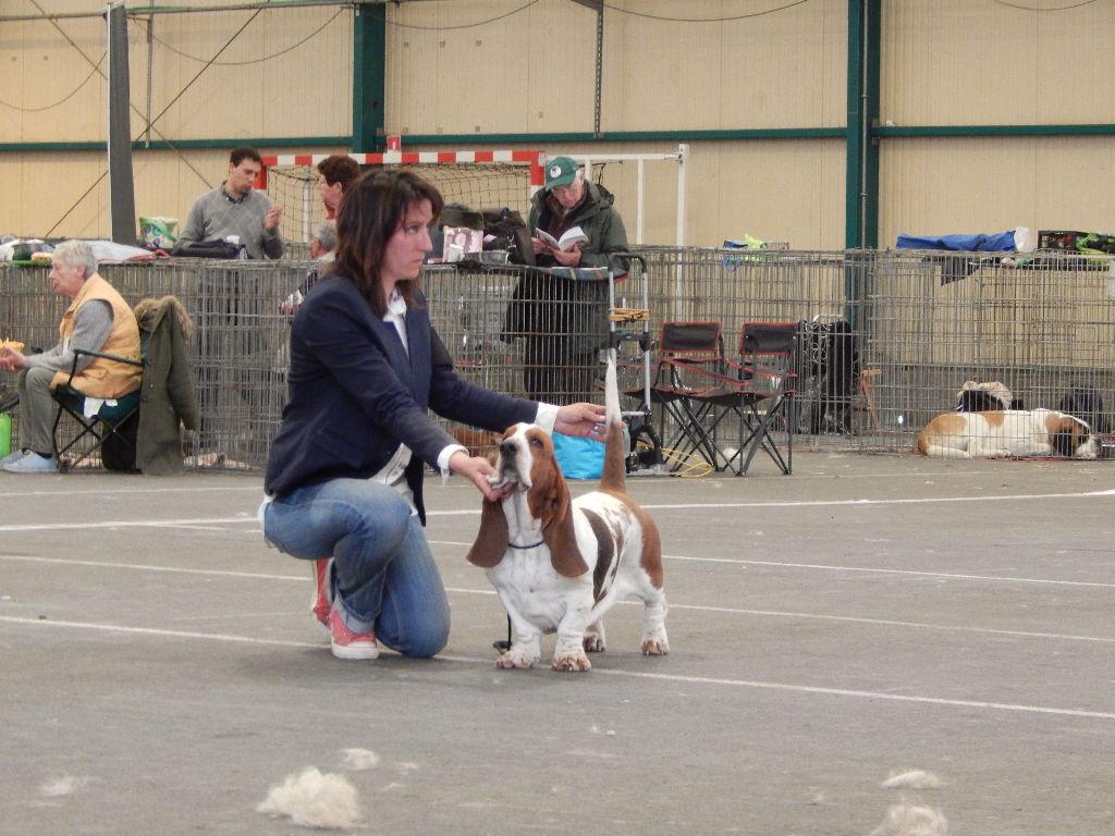 Du Cercle De Léma - Résultats de l'exposition canine de Châteauroux 2017