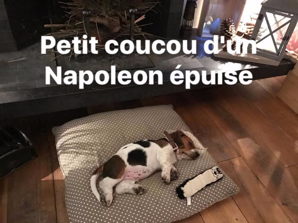 Du Cercle De Léma - Des nouvelles de Napoléon du Cercle de Léma