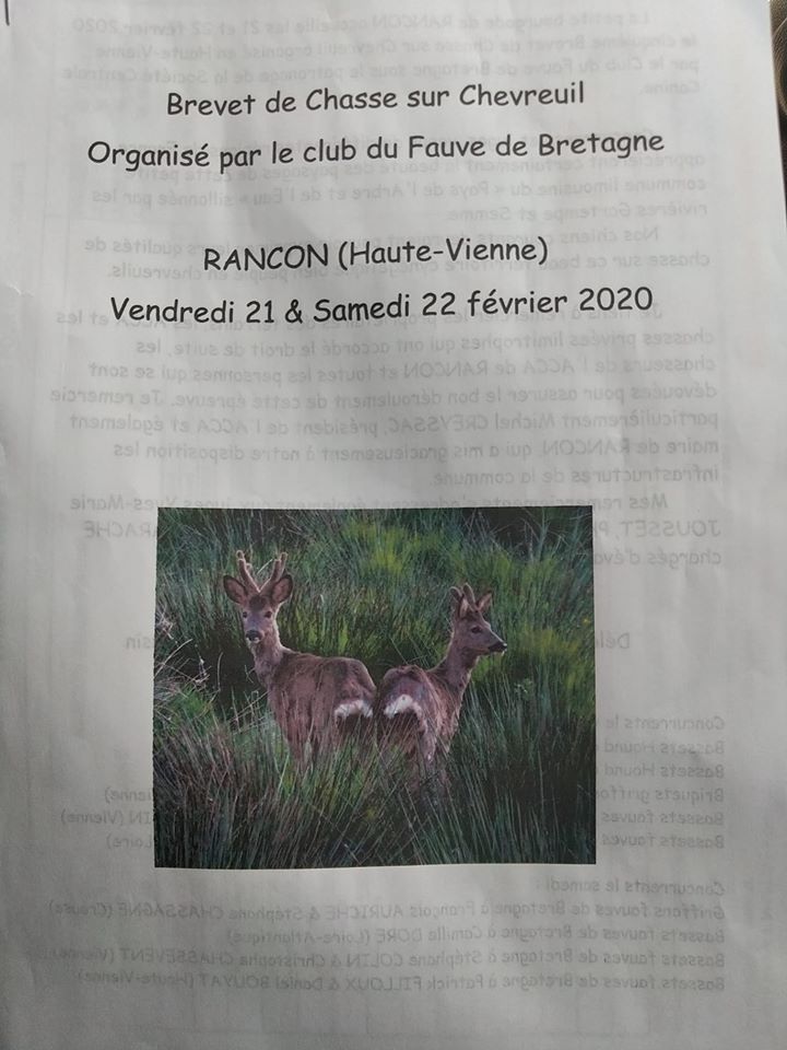 Du Cercle De Léma - Résultats Brevet sur Chevreuil RANCON (Haute- Vienne)