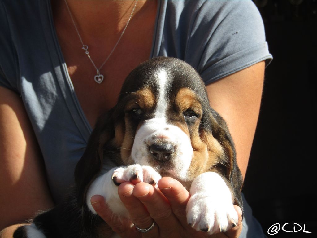 Du Cercle De Léma - Adorable garçon disponible.