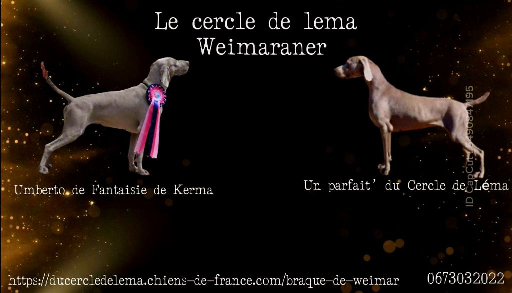 Confirmation de gestation,  des petits pour mi septembre 