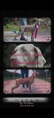 CHIOT